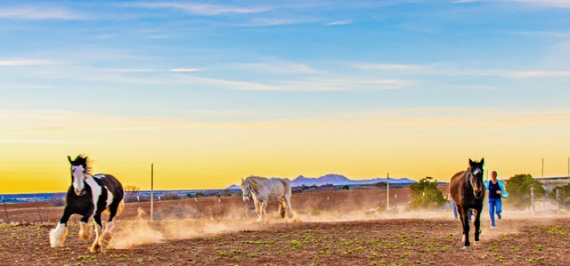 Ranch landscape scenery