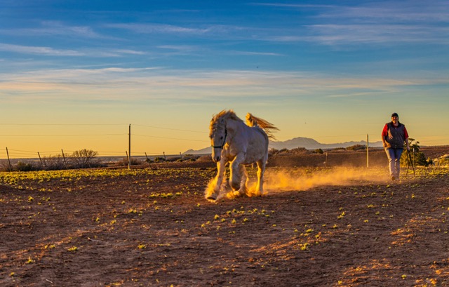 Colorado ranch landscape