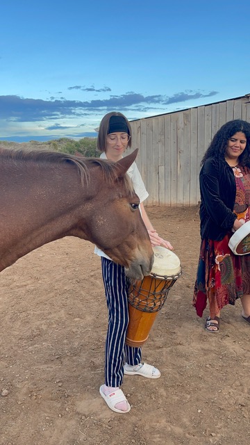 Equine connection