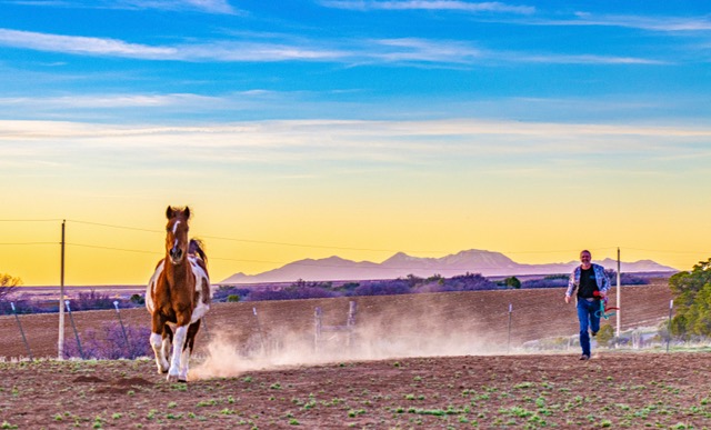Ranch sunset